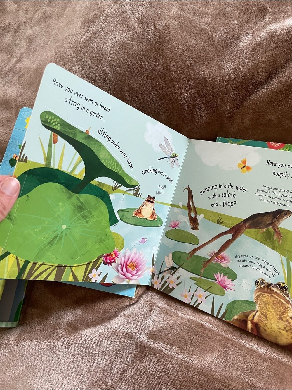 DK Kids Books Watch Me Grow Collection Nature Exploration Lifecycle Early Reader - Picture 7 of 13